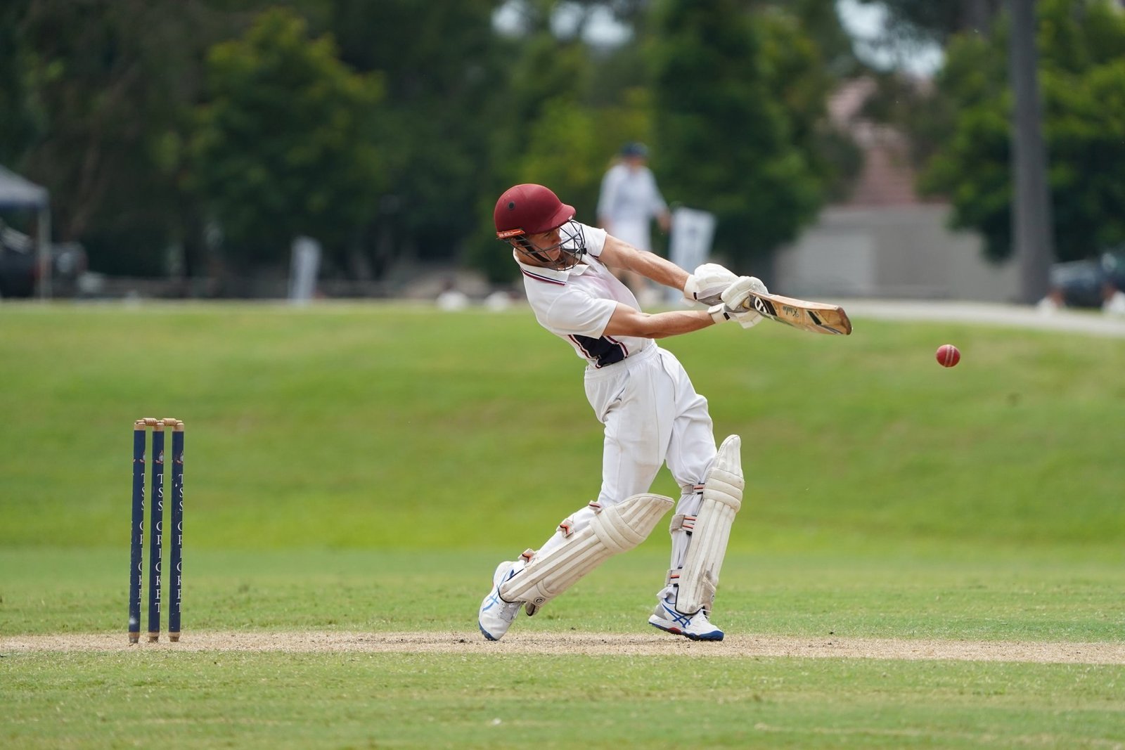 Wheon Cricket: Your Ultimate Guide to the Game and Updates